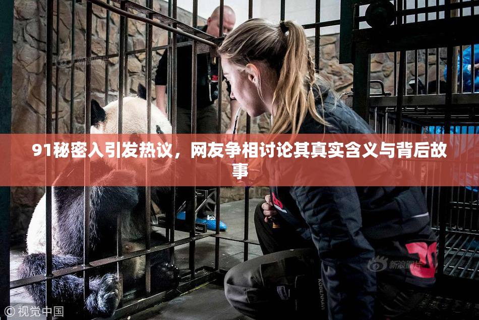 91秘密入引发热议，网友争相讨论其真实含义与背后故事