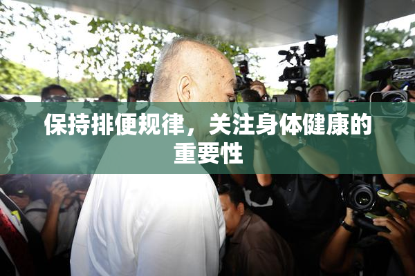 保持排便规律，关注身体健康的重要性