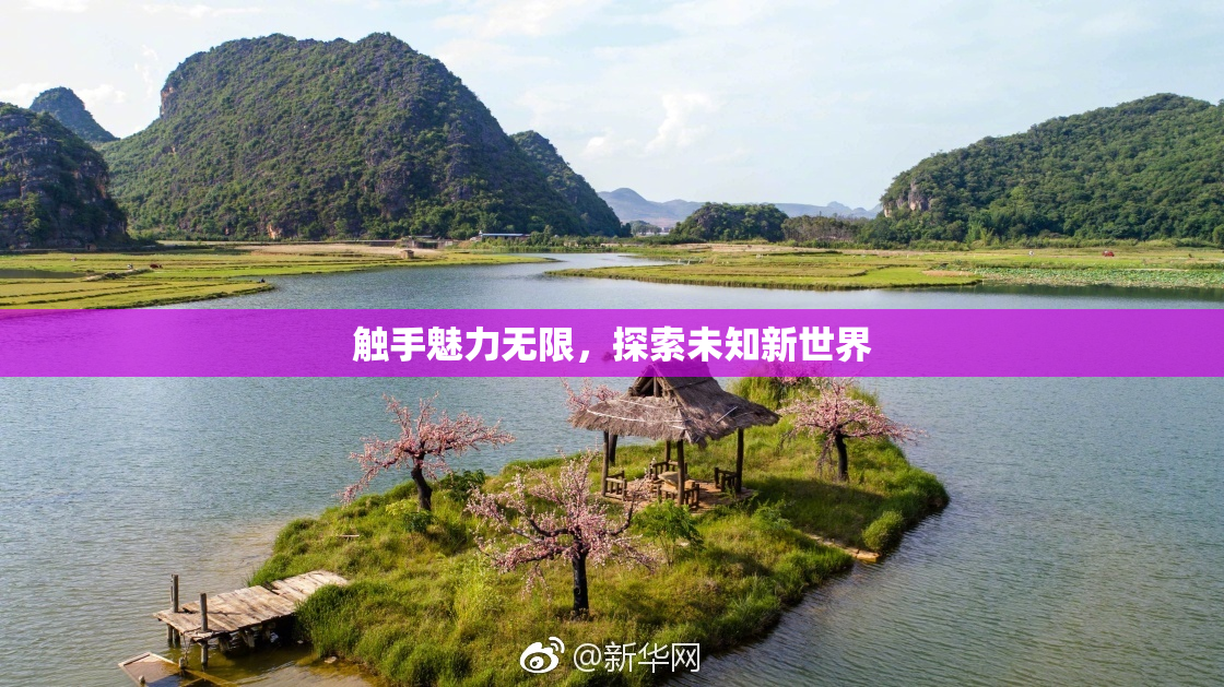 触手魅力无限，探索未知新世界