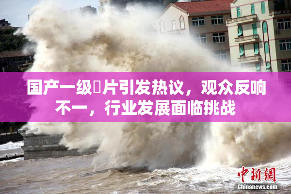 国产一级婬片引发热议，观众反响不一，行业发展面临挑战