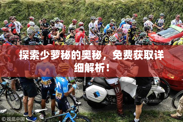 探索少萝秘的奥秘，免费获取详细解析！