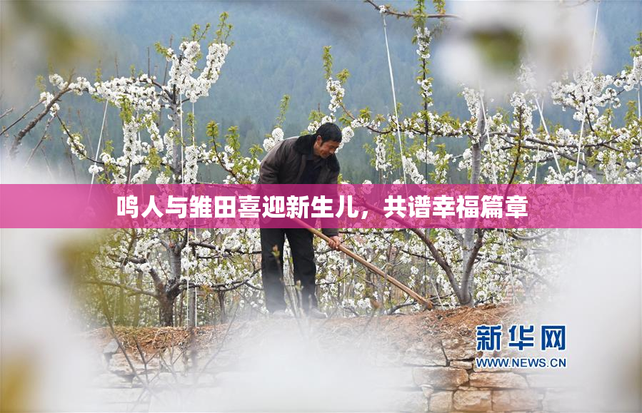 鸣人与雏田喜迎新生儿，共谱幸福篇章