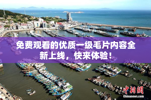 免费观看的优质一级毛片内容全新上线，快来体验！