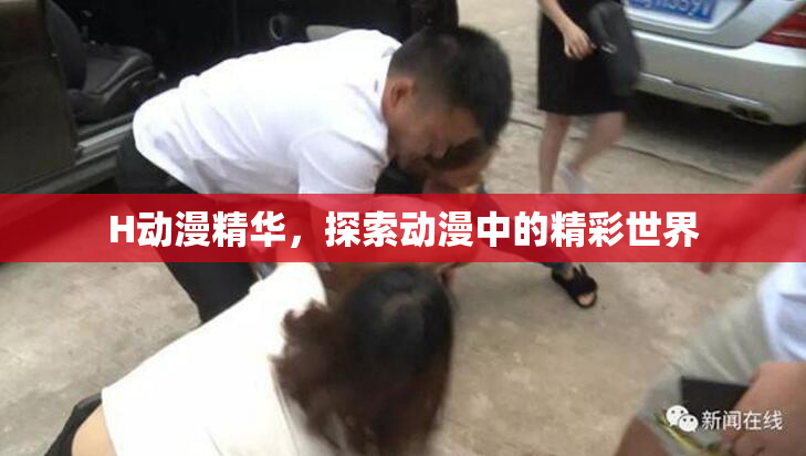 H动漫精华，探索动漫中的精彩世界