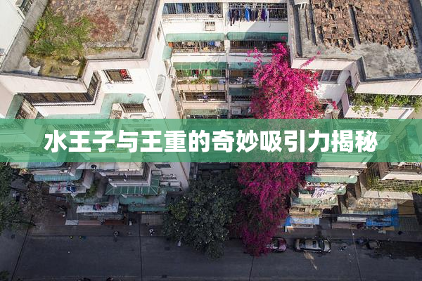 水王子与王重的奇妙吸引力揭秘