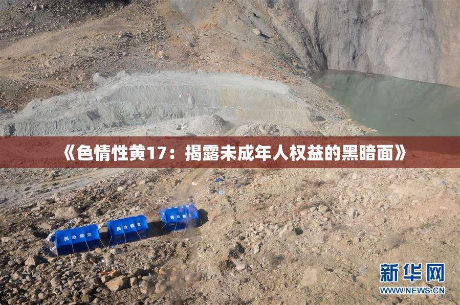 《色情性黄17：揭露未成年人权益的黑暗面》