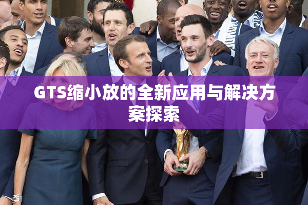 GTS缩小放的全新应用与解决方案探索