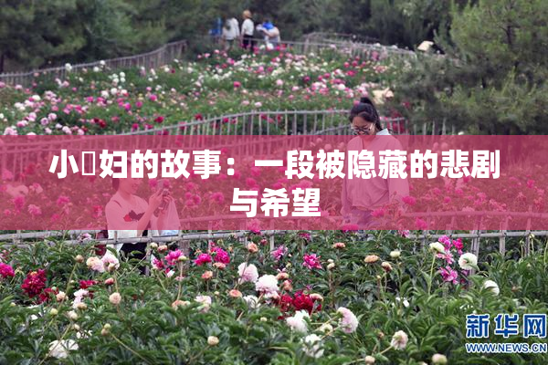 小婬妇的故事：一段被隐藏的悲剧与希望