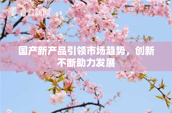 国产新产品引领市场趋势，创新不断助力发展
