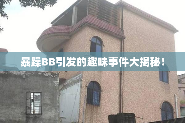 暴躁BB引发的趣味事件大揭秘！