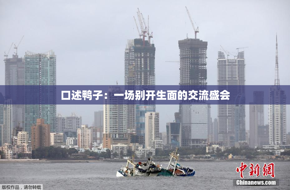 口述鸭子：一场别开生面的交流盛会
