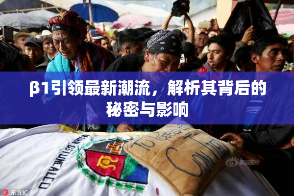 β1引领最新潮流，解析其背后的秘密与影响
