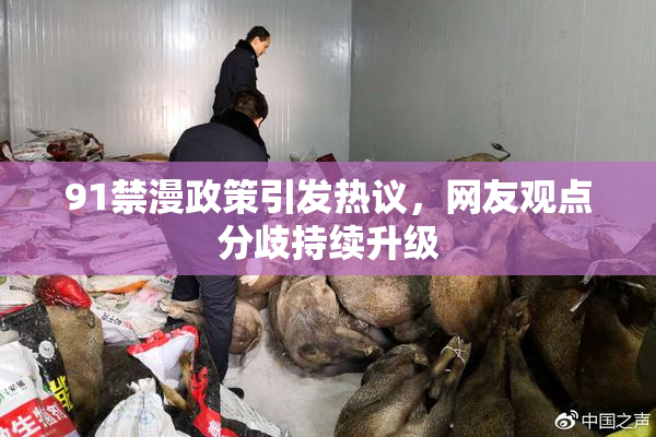 91禁漫政策引发热议，网友观点分歧持续升级