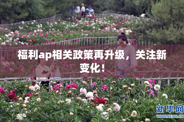 福利ap相关政策再升级，关注新变化！