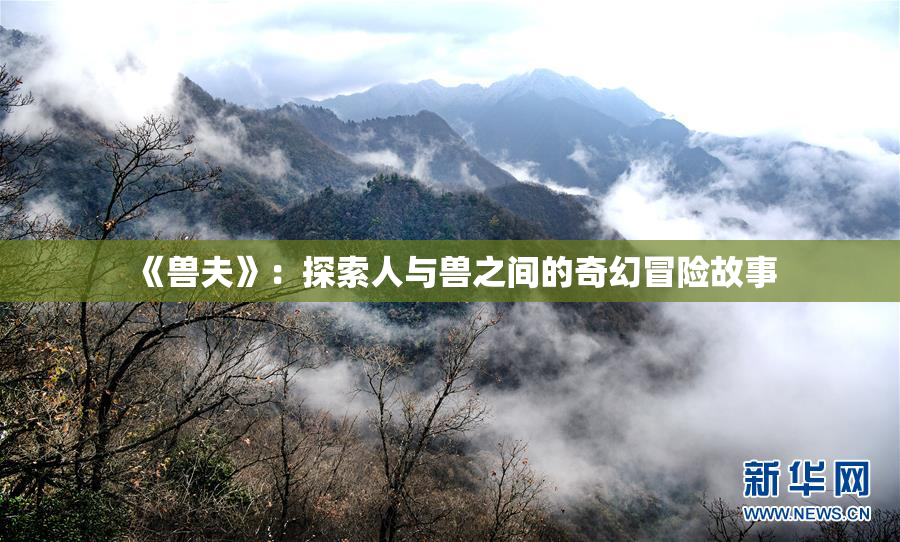 《兽夫》：探索人与兽之间的奇幻冒险故事