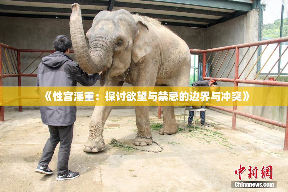 《性宫淫重：探讨欲望与禁忌的边界与冲突》