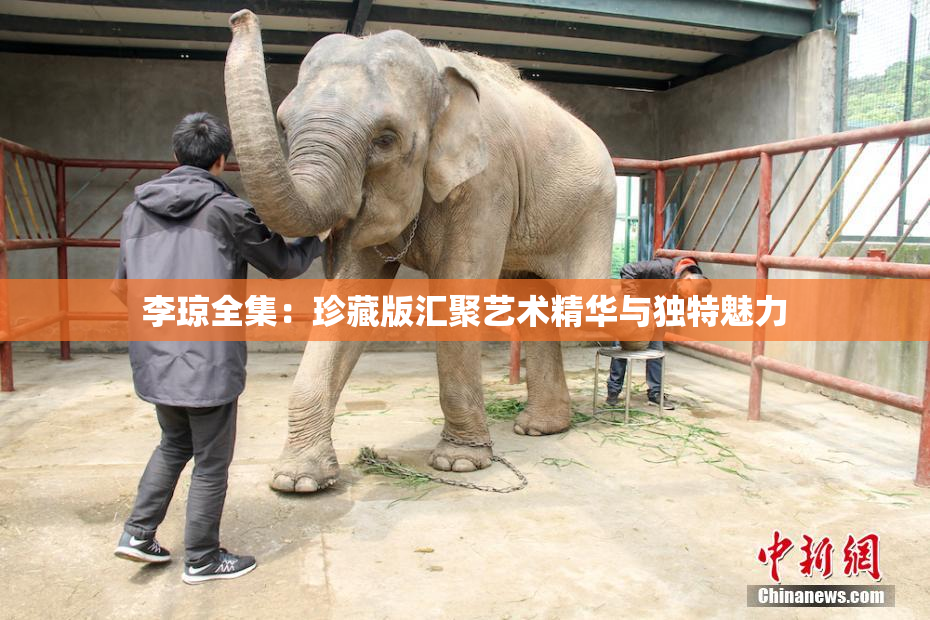 李琼全集：珍藏版汇聚艺术精华与独特魅力