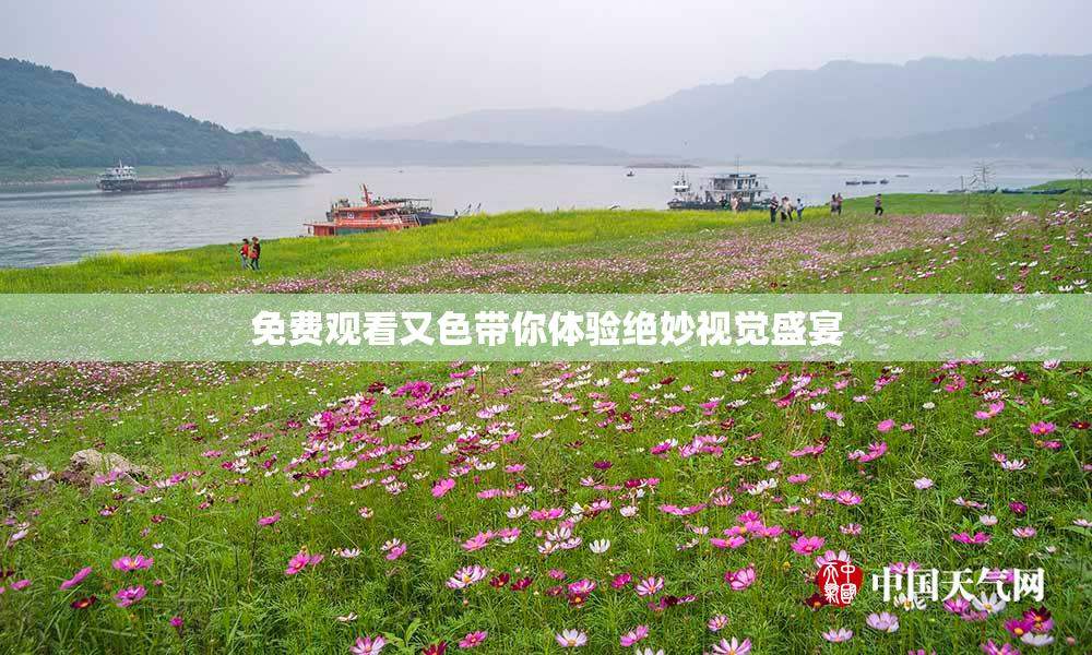 免费观看又色带你体验绝妙视觉盛宴