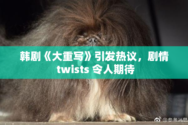 韩剧《大重写》引发热议，剧情 twists 令人期待