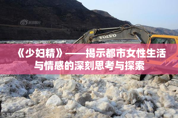 《少妇精》——揭示都市女性生活与情感的深刻思考与探索
