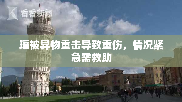 瑶被异物重击导致重伤，情况紧急需救助