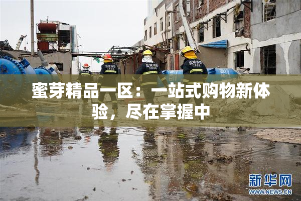蜜芽精品一区：一站式购物新体验，尽在掌握中