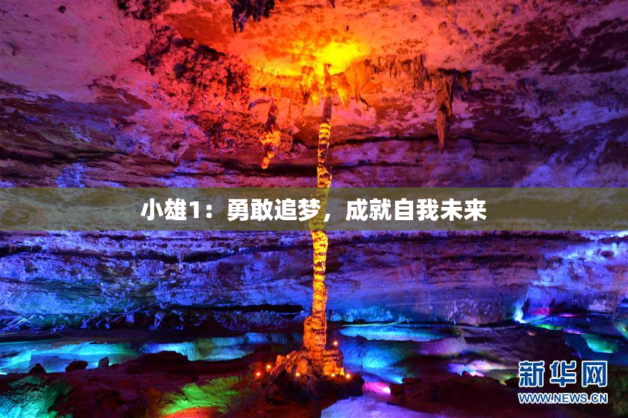 小雄1：勇敢追梦，成就自我未来