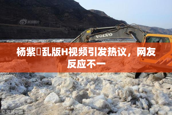 杨紫婬乱版H视频引发热议，网友反应不一