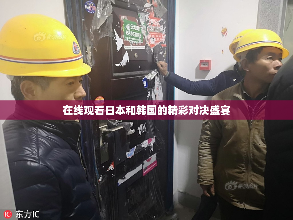 在线观看日本和韩国的精彩对决盛宴
