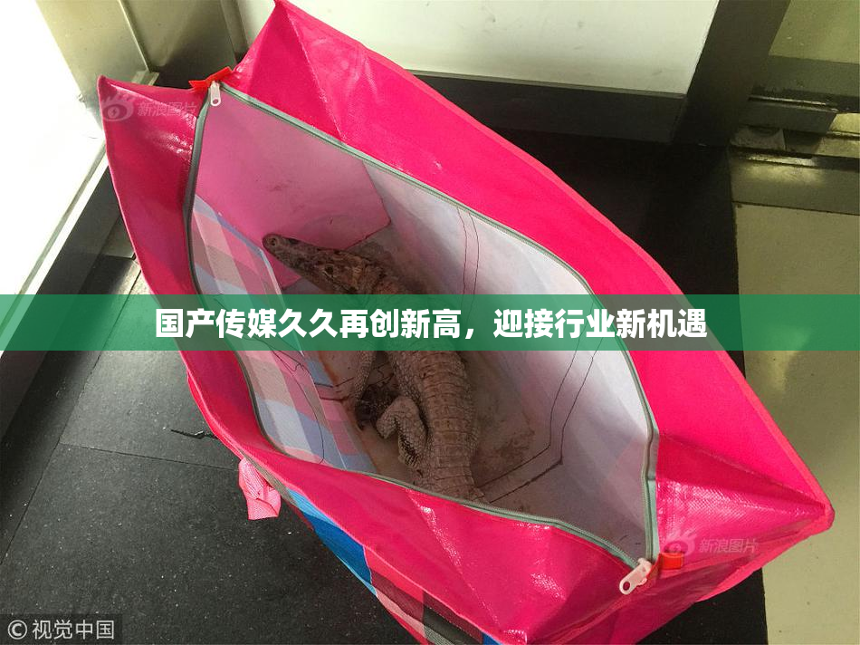 国产传媒久久再创新高，迎接行业新机遇