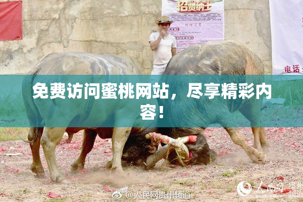 免费访问蜜桃网站，尽享精彩内容！