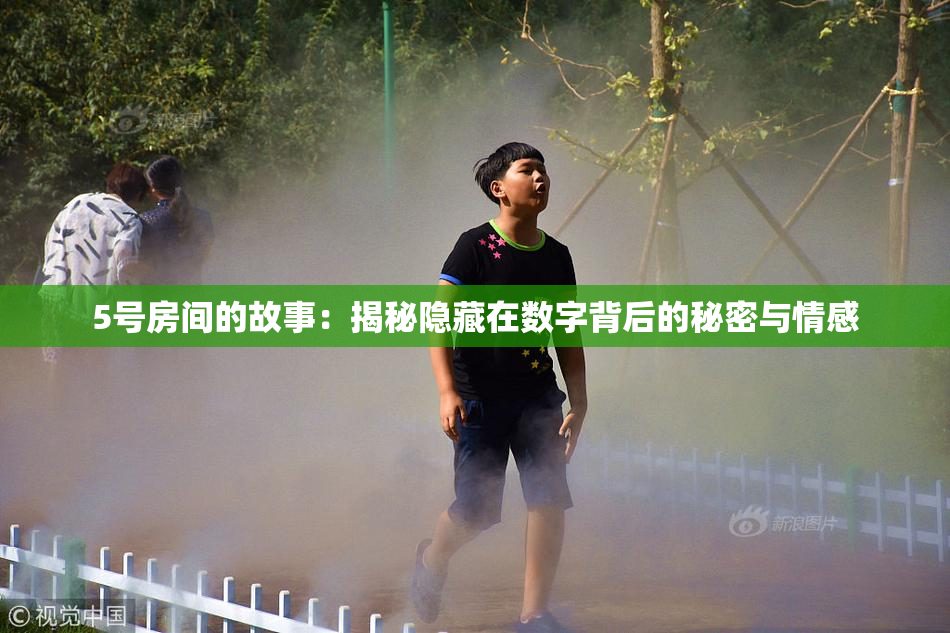5号房间的故事：揭秘隐藏在数字背后的秘密与情感