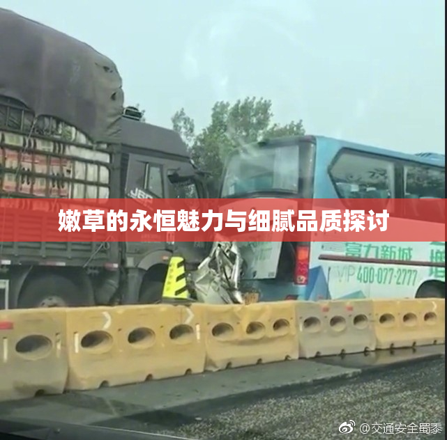 嫩草的永恒魅力与细腻品质探讨