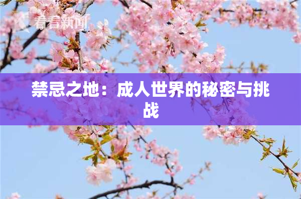 禁忌之地：成人世界的秘密与挑战