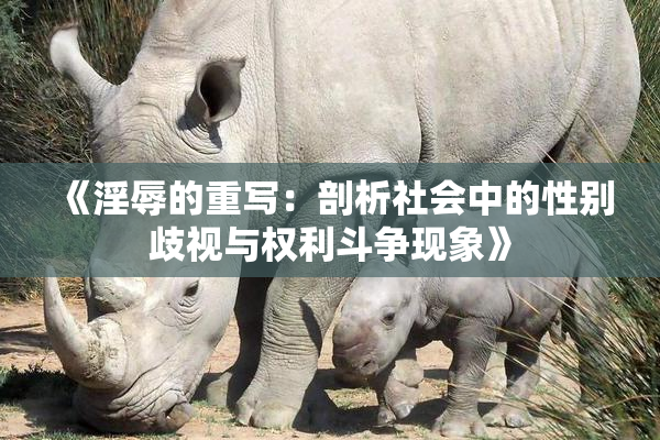 《淫辱的重写：剖析社会中的性别歧视与权利斗争现象》