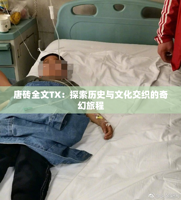 唐砖全文TX：探索历史与文化交织的奇幻旅程