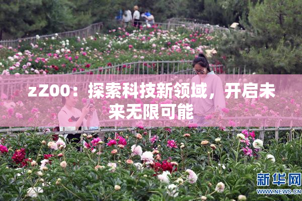 zZ00：探索科技新领域，开启未来无限可能