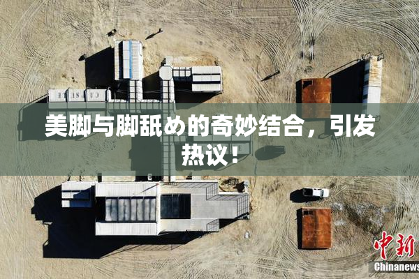 美脚与脚舐め的奇妙结合，引发热议！