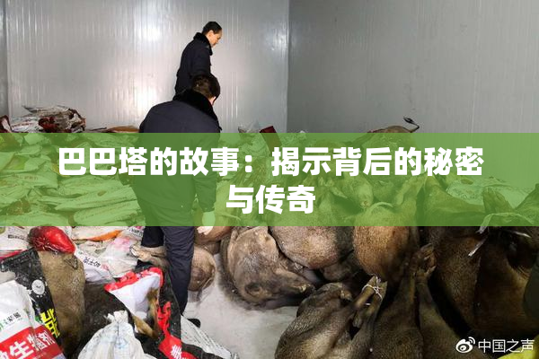巴巴塔的故事：揭示背后的秘密与传奇