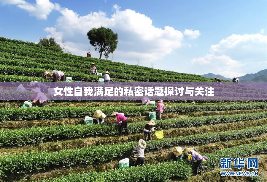 女性自我满足的私密话题探讨与关注