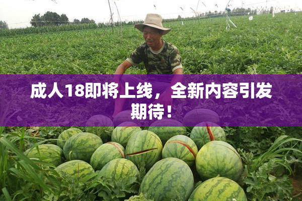 成人18即将上线，全新内容引发期待！
