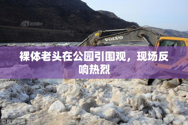裸体老头在公园引围观，现场反响热烈