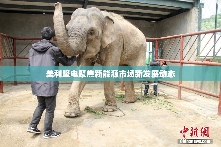 美利坚电聚焦新能源市场新发展动态