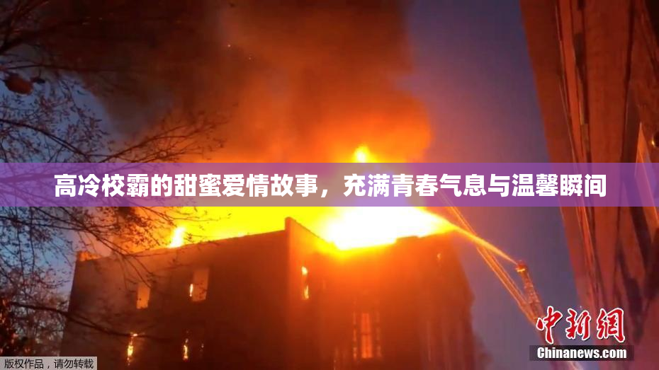 高冷校霸的甜蜜爱情故事，充满青春气息与温馨瞬间