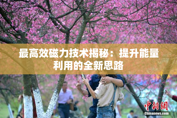 最高效磁力技术揭秘：提升能量利用的全新思路