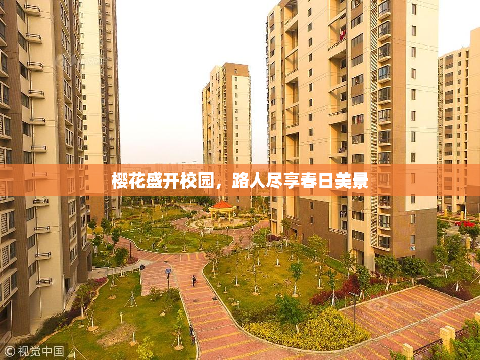 樱花盛开校园，路人尽享春日美景