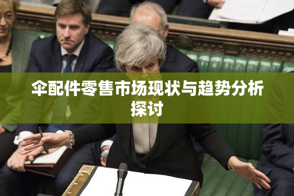 伞配件零售市场现状与趋势分析探讨