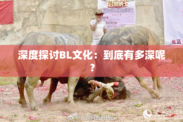 深度探讨BL文化：到底有多深呢？