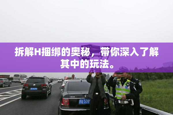 拆解H捆绑的奥秘，带你深入了解其中的玩法。