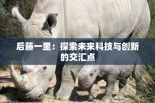 后藤一里：探索未来科技与创新的交汇点